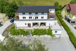 VILA LISJAK - Apartments Podčetrtek